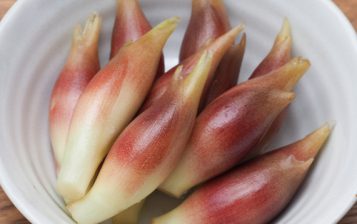 秋バテにもピッタリ！みょうがはこんなにおいしい